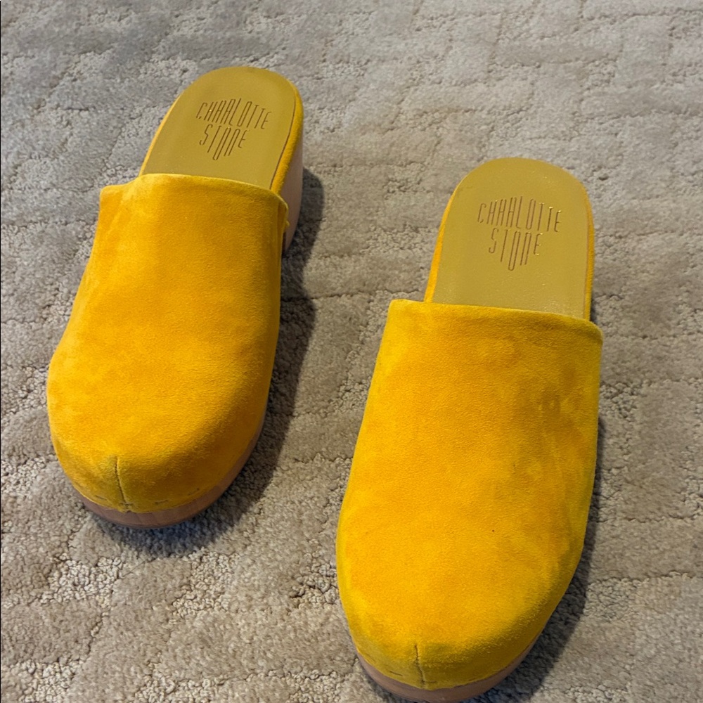 Charlotte Stone Yellow Mules